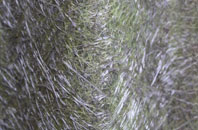 Longford fibreglass roof work